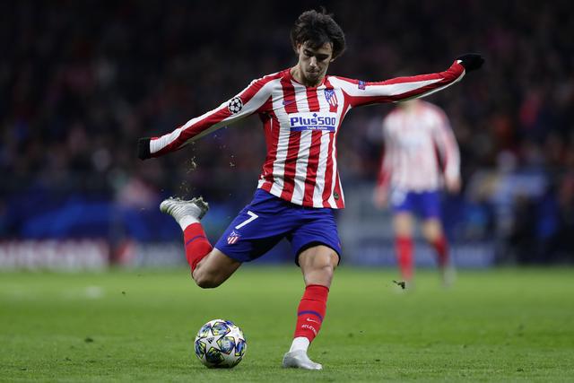 灰熊曾試圖 灰熊曾試圖